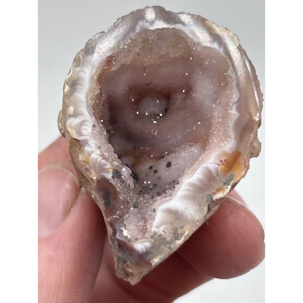 2" Amethyst Agate Quartz Crystal Fossil Rock‎ Split Geode
